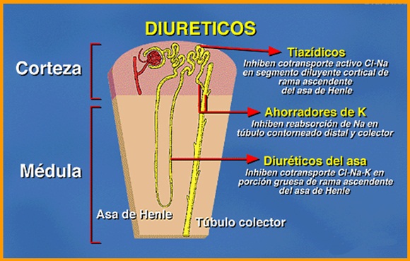 Fármacos diuréticos en el tratamiento de la insuficiencia cardiaca