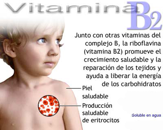 contraindicaciones de la vitamina b