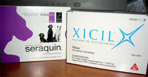 Xicil