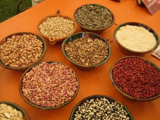 Alimentos ricos en zinc para la buena salud     