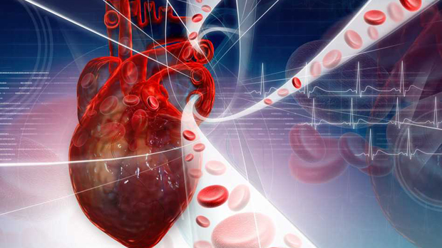 Colesterol HDL y LDL