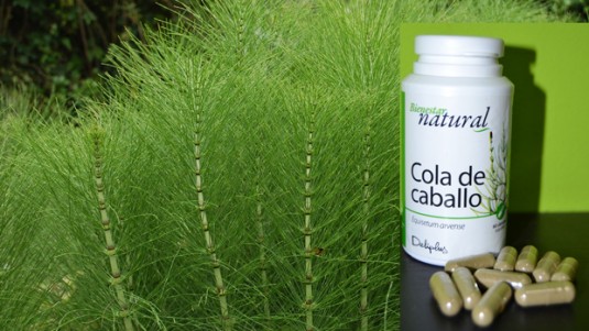 infusion cola caballo mercadona