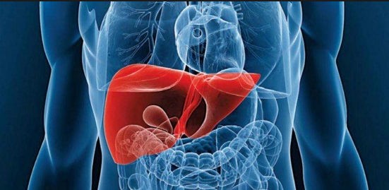 Cómo limpiar el hígado con 4 alimentos saludables