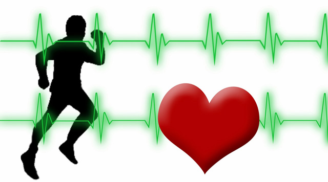Frecuencia cardíaca de entrenamiento
