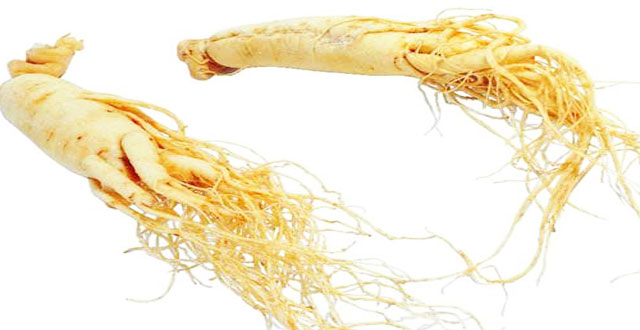 Ginseng: beneficios para la salud