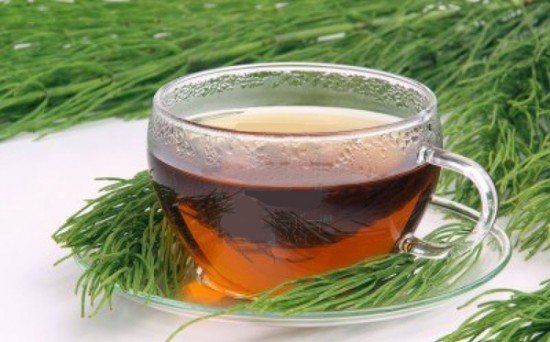 Infusiones de cola de caballo para adelgazar