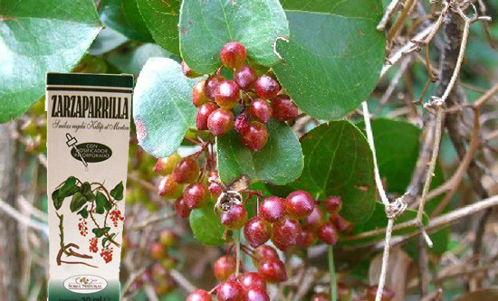 Zarzaparrilla bebida