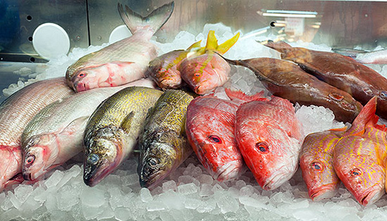 Pescado azul: listado de variedades
