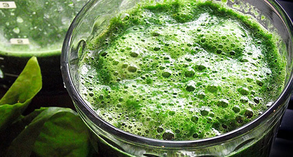 Alga espirulina y sus beneficios