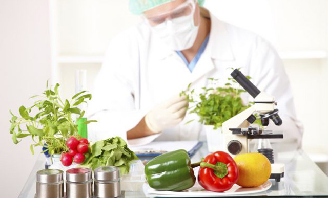 Alimentos transgénicos: ventajas y desventajas