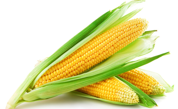 ¿El maíz engorda?