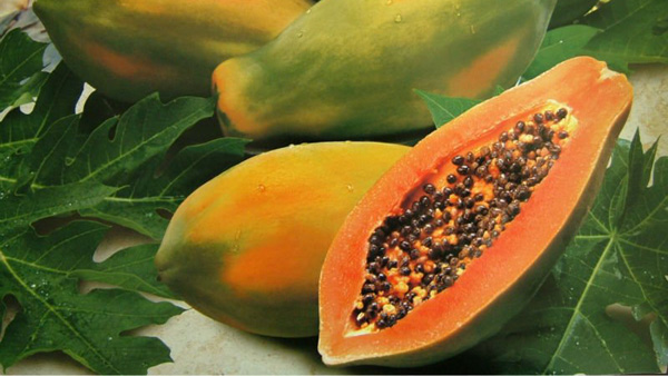 Papaya: propiedades curativas