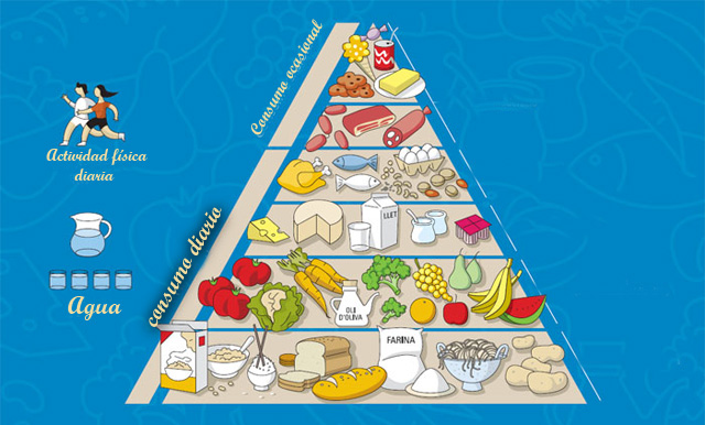Pirámide alimentaria y su composición