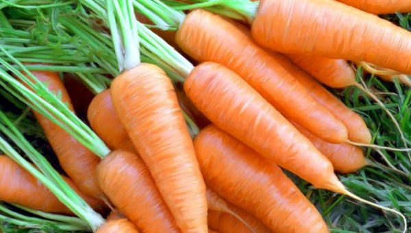 Las vitaminas de la zanahoria