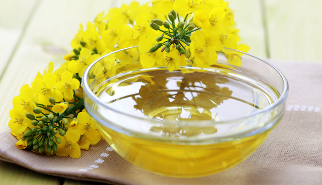 Aceite de canola: beneficios