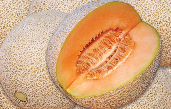 Las calorías melón y sus beneficios