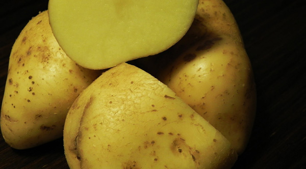 Calorías patata cocida ¿engordan?