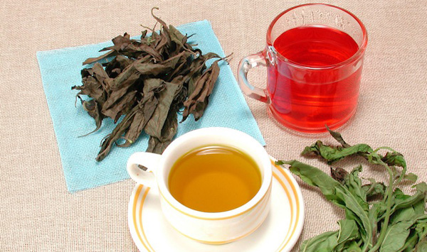 Té verde o té rojo ¿cuál elijo?