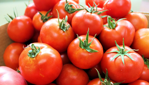 Calorías del tomate