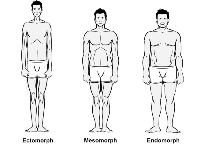 Cuerpo fitness: tipo de cuerpo hombre