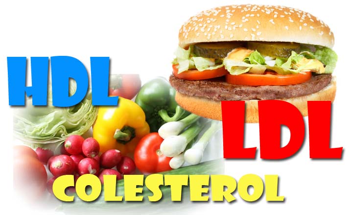 Cuántos tipos de colesterol existen