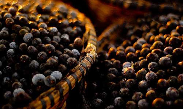 Dieta Acai ¿qué es y para qué sirve?