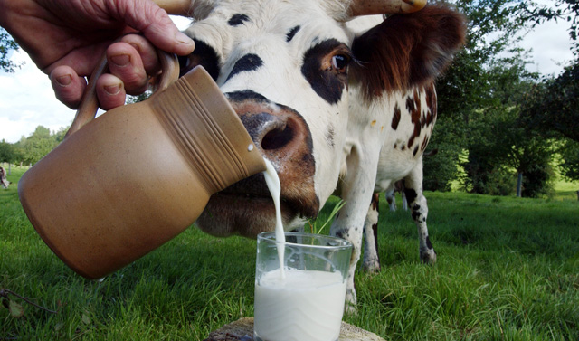 Leche entera: posibles efectos secundarios