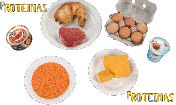 Qué alimentos tienen proteínas