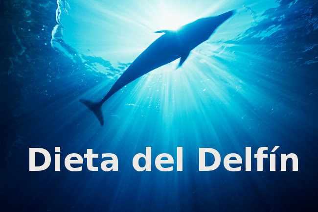 Dieta del delfín