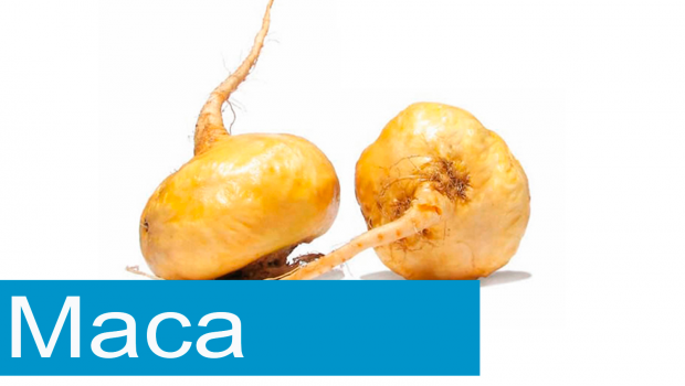 Maca: contraindicaciones