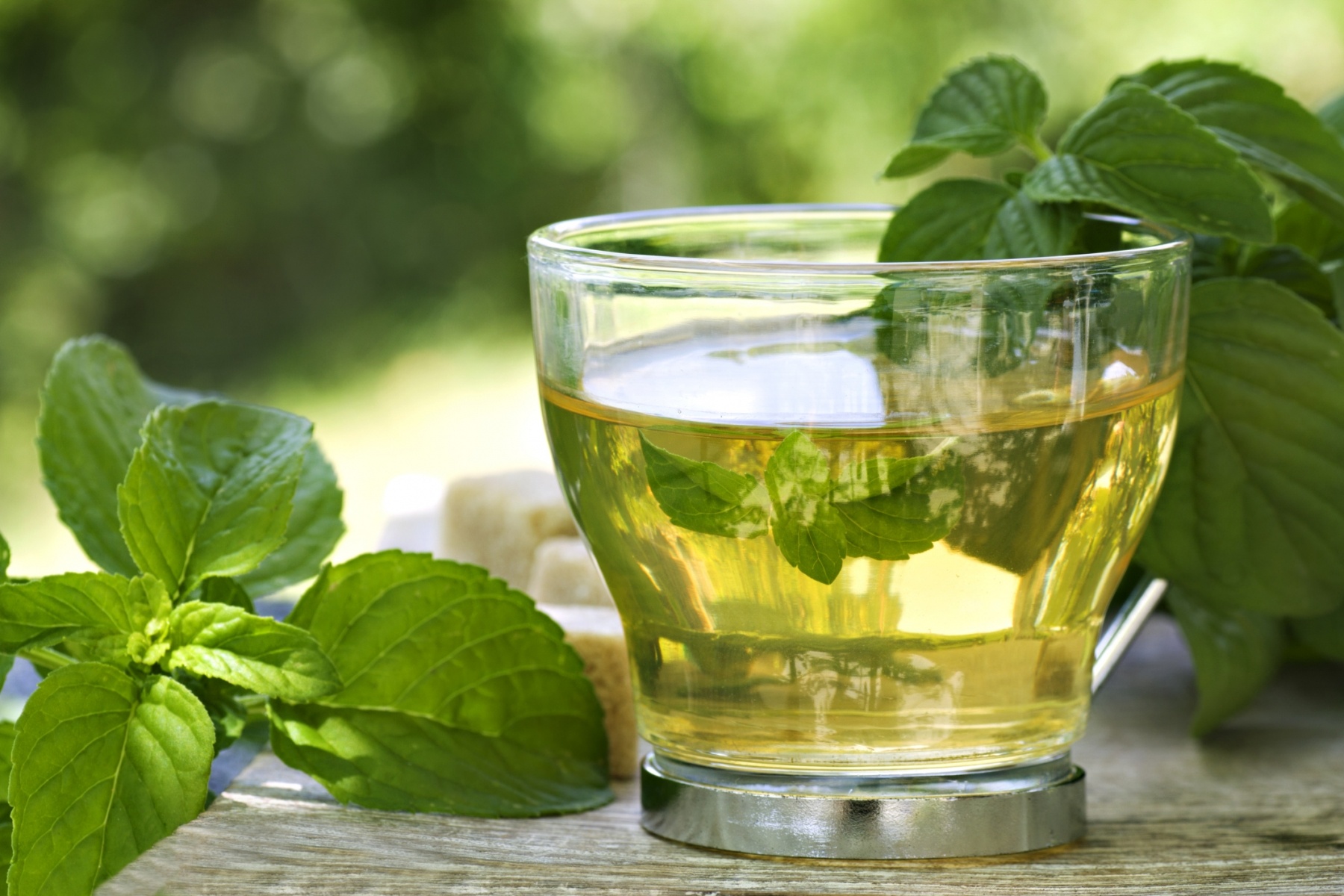 Té verde para adelgazar