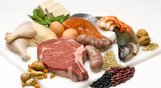 Dieta a base de proteínas