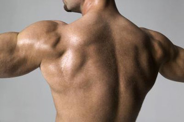 Ejercicios para trapecio efectivos