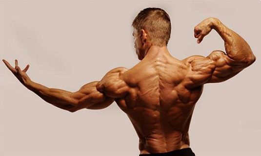 Consejos para ganar volumen muscular