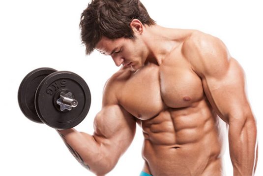 masa muscular y salud