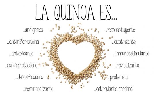 7 propiedades de la quinoa