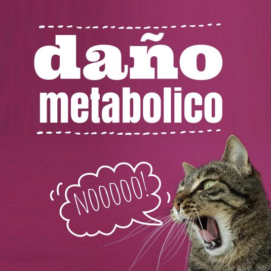 ¿Qué es el daño metabólico?