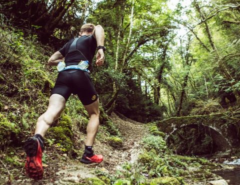 entrenador personal online trail running